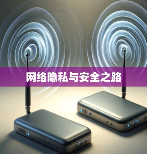 网络隐私与安全之路