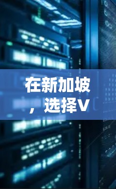 在新加坡，选择VPN节点时，用户需要综合考虑多种因素，包括服务提供商的信誉、覆盖范围、网络稳定性、安全性和用户友好度。以下是一些推荐的VPN节点和建议，帮助用户更好地选择