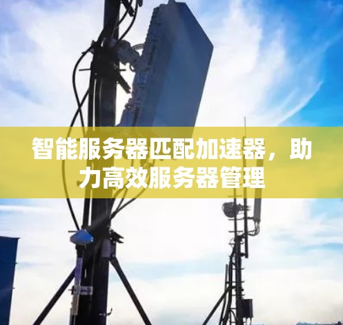 智能服务器匹配加速器，助力高效服务器管理