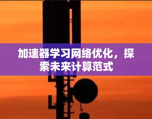 加速器学习网络优化，探索未来计算范式