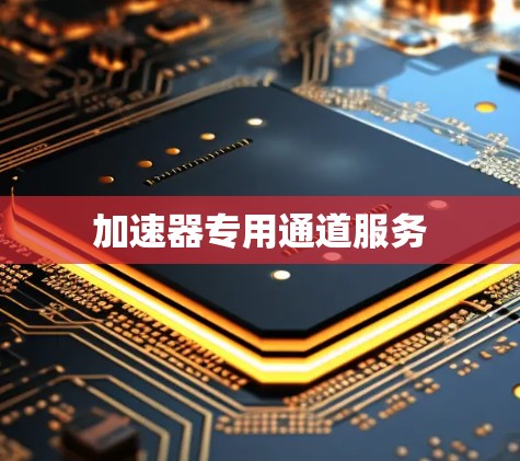 加速器专用通道服务