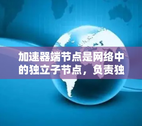 加速器端节点是网络中的独立子节点，负责独立运行，通过防火墙控制流量。以下是关于加速器端节点的详细信息