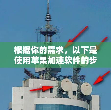 根据你的需求，以下是使用苹果加速软件的步骤说明