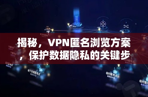 揭秘，VPN匿名浏览方案，保护数据隐私的关键步骤
