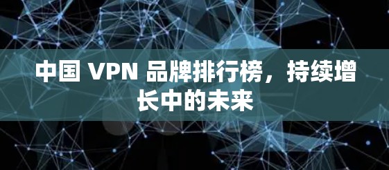 中国 VPN 品牌排行榜，持续增长中的未来