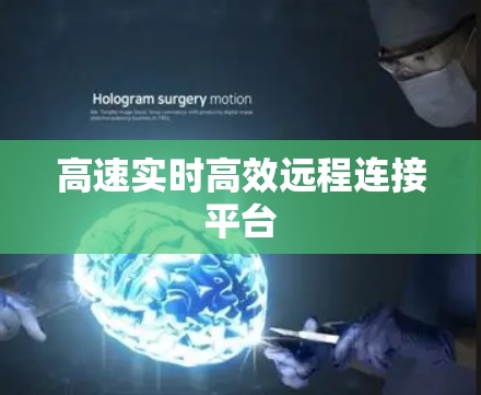 高速实时高效远程连接平台