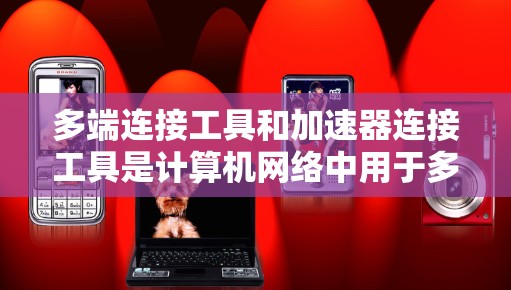 多端连接工具和加速器连接工具是计算机网络中用于多个设备或接口之间的数据传输和连接的关键工具。以下是他们各自的作用及其结合如何实现无缝连接