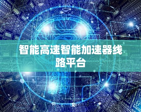智能高速智能加速器线路平台