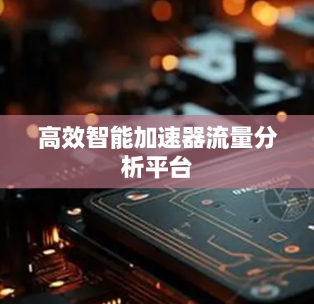 高效智能加速器流量分析平台