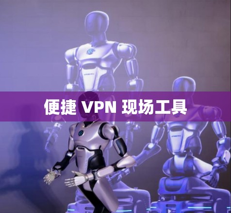 便捷 VPN 现场工具