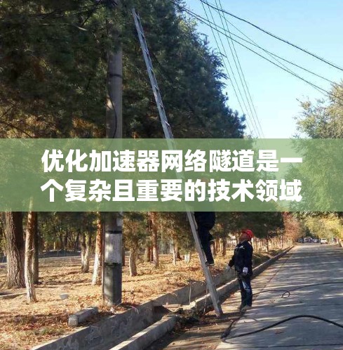 优化加速器网络隧道是一个复杂且重要的技术领域，涉及材料科学、化学工程和计算机科学等多个学科。以下是对该领域的概述和建议，帮助您更好地理解和应用这些技术