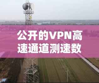 公开的VPN高速通道测速数据并非VPN的秘密，而是来源于被破坏或干扰的网络设备。以下是逐步的解释和结论