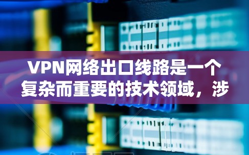VPN网络出口线路是一个复杂而重要的技术领域，涉及多方面的技术、安全和管理问题。以下是对 VPN 网络出口线路的详细分析和建议