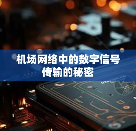 机场网络中的数字信号传输的秘密