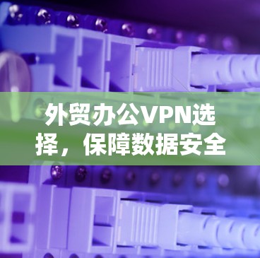 外贸办公VPN选择，保障数据安全的可靠选择