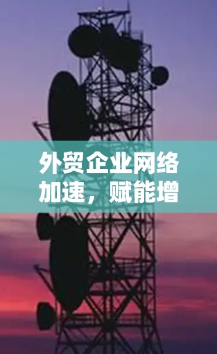 外贸企业网络加速，赋能增长的数字化转型之路