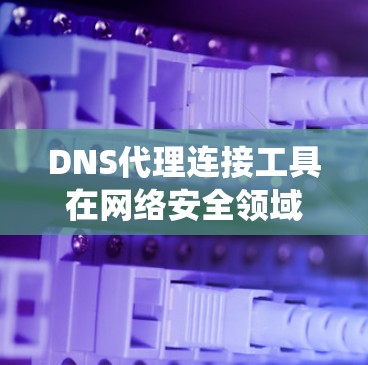 DNS代理连接工具在网络安全领域扮演了关键角色，帮助用户和管理员更好地管理DNS资源，防止恶意攻击。以下是对DNS代理连接工具的系统总结和分析
