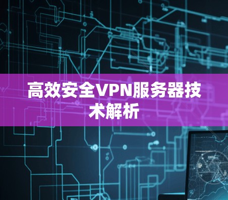 高效安全VPN服务器技术解析