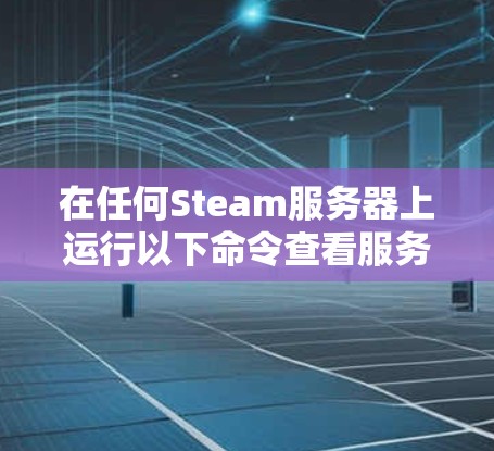 在任何Steam服务器上运行以下命令查看服务器状态