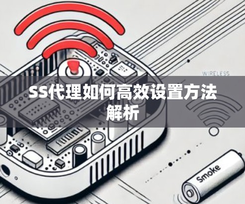 SS代理如何高效设置方法解析