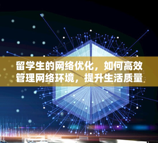 留学生的网络优化，如何高效管理网络环境，提升生活质量