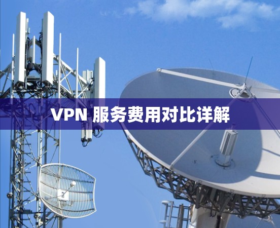 VPN 服务费用对比详解