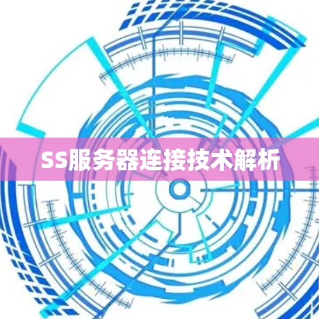 SS服务器连接技术解析