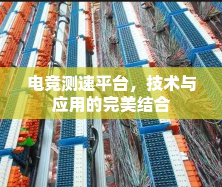 电竞测速平台，技术与应用的完美结合