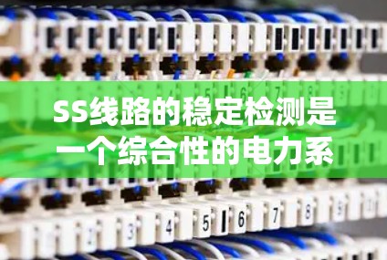 SS线路的稳定检测是一个综合性的电力系统监控过程，旨在确保电力传输线路的运行稳定性和可靠性。以下是对该技术的详细解释
