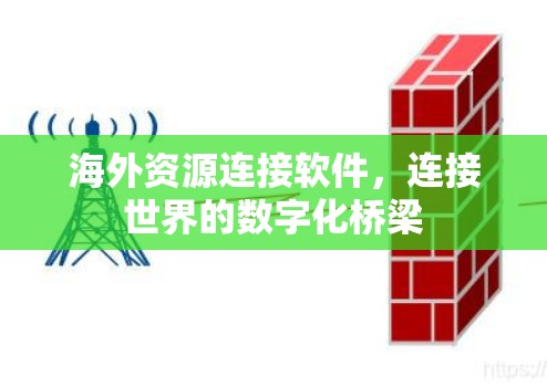 海外资源连接软件，连接世界的数字化桥梁