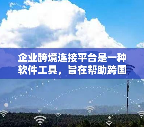 企业跨境连接平台是一种软件工具，旨在帮助跨国企业实现跨国家的业务连接和合作。以下是对该平台功能的详细总结
