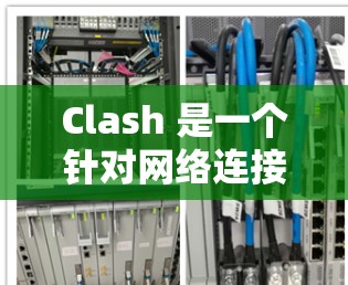 Clash 是一个针对网络连接优化的工具，旨在通过分析数据包结构来提高网络性能。以下是对Clash使用的步骤和分析的详细指南