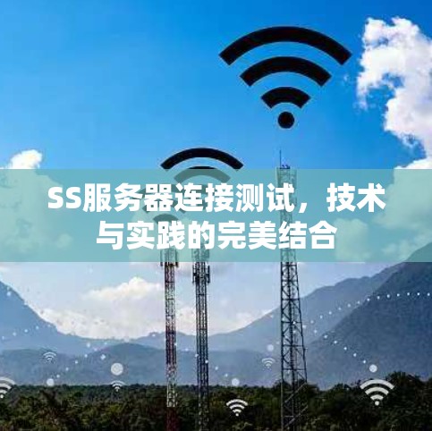 SS服务器连接测试，技术与实践的完美结合