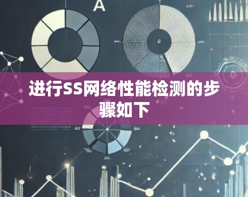 进行SS网络性能检测的步骤如下