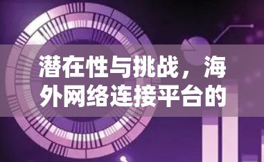 潜在性与挑战，海外网络连接平台的现状与未来展望