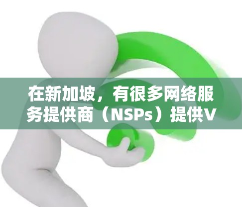 在新加坡，有很多网络服务提供商（NSPs）提供VPN服务，以保护用户的数据和隐私。以下是新加坡有哪些主要的VPN连接工具