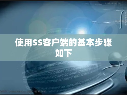使用SS客户端的基本步骤如下