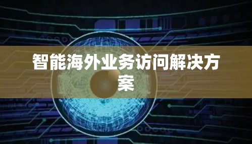 智能海外业务访问解决方案