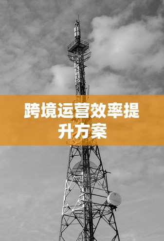 跨境运营效率提升方案