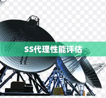 SS代理性能评估