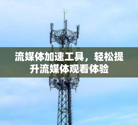 流媒体加速工具，轻松提升流媒体观看体验