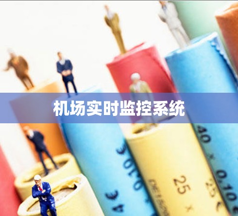 机场实时监控系统