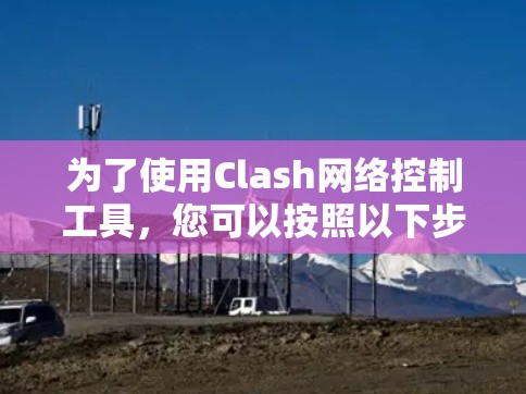 为了使用Clash网络控制工具，您可以按照以下步骤进行设置