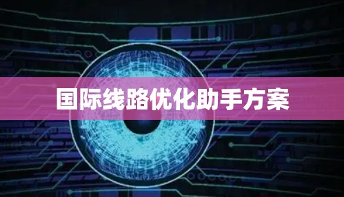 国际线路优化助手方案