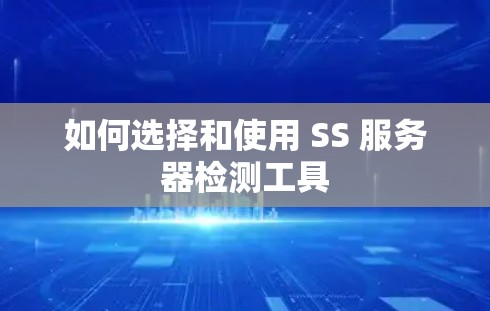 如何选择和使用 SS 服务器检测工具