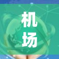 机场服务体验分析报告