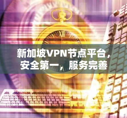 新加坡VPN节点平台，安全第一，服务完善
