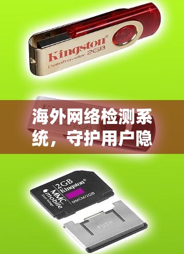 海外网络检测系统，守护用户隐私与安全