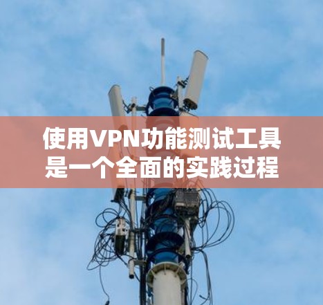 使用VPN功能测试工具是一个全面的实践过程，涉及多个步骤和安全考量。以下是一个详细且有条理的步骤指南，帮助您顺利完成这个过程