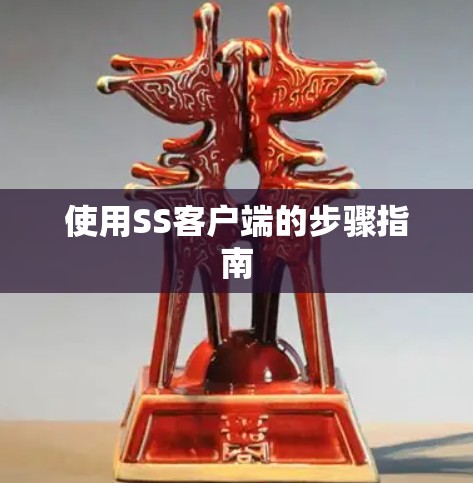 使用SS客户端的步骤指南